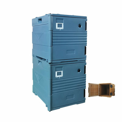 隔熱食品輸送箱 食品の温度をカスタマイズされた色で保つ