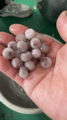 220V多機能商用泡茶ポップボバゼリーボールメーカー