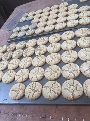 工業用ビスケット・クッキー・クレイカー加工機