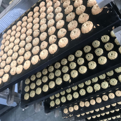 完全自動工業パン屋 ビジネス クッキー ビスケット ウォールナットケーキを作るマシン