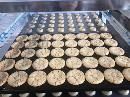 工業用多機能ビスケットメーカー