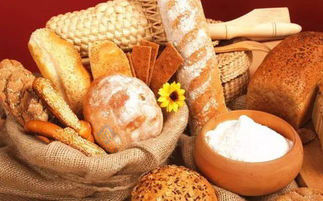 32 トレイ ロータリーガス 工業パン 電気ビスケットケーキ パンのための自動オーブン