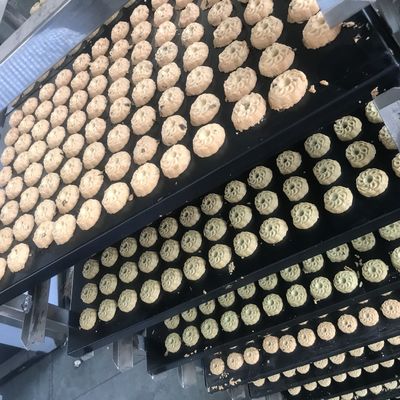 パン屋産業のための高度なオートマティックケーキ・ビスケット製造機械