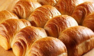 食品加工機 ビスケット ケーキ パンの 1 段階回転オーブン 安価