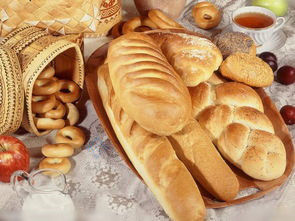 食品加工機 ビスケット ケーキ パンの 1 段階回転オーブン 安価